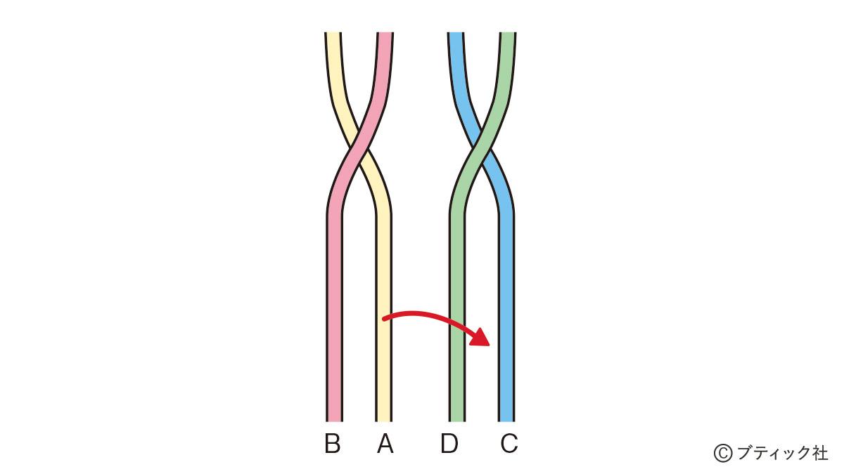 四つ編みの編み方 紐結び方 飾り結び ぬくもり