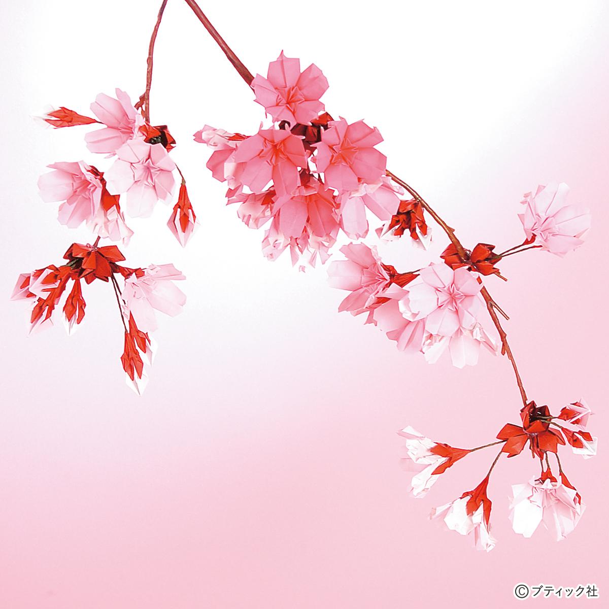 折り紙 桜の折り方 まとめ4選 立体的 たとう包み 枝付き ぬくもり