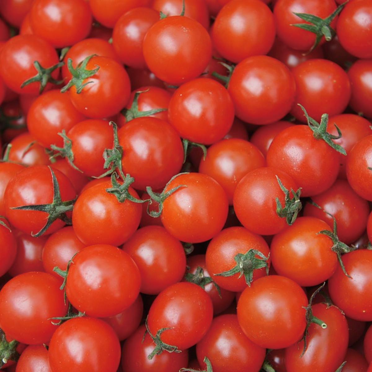 プランターで作る ミニトマト の育て方 栽培のコツ 家庭菜園 ぬくもり