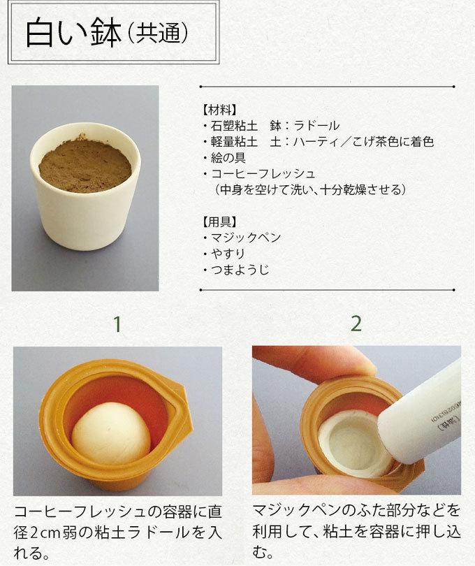 樹脂粘土で作ろう 多肉植物テトラゴナ の作り方 ぬくもり