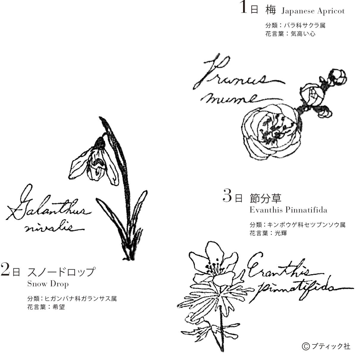 はんこや刺繍に！誕生花の図案（365日のボタニカル図案集）｜ぬくもり