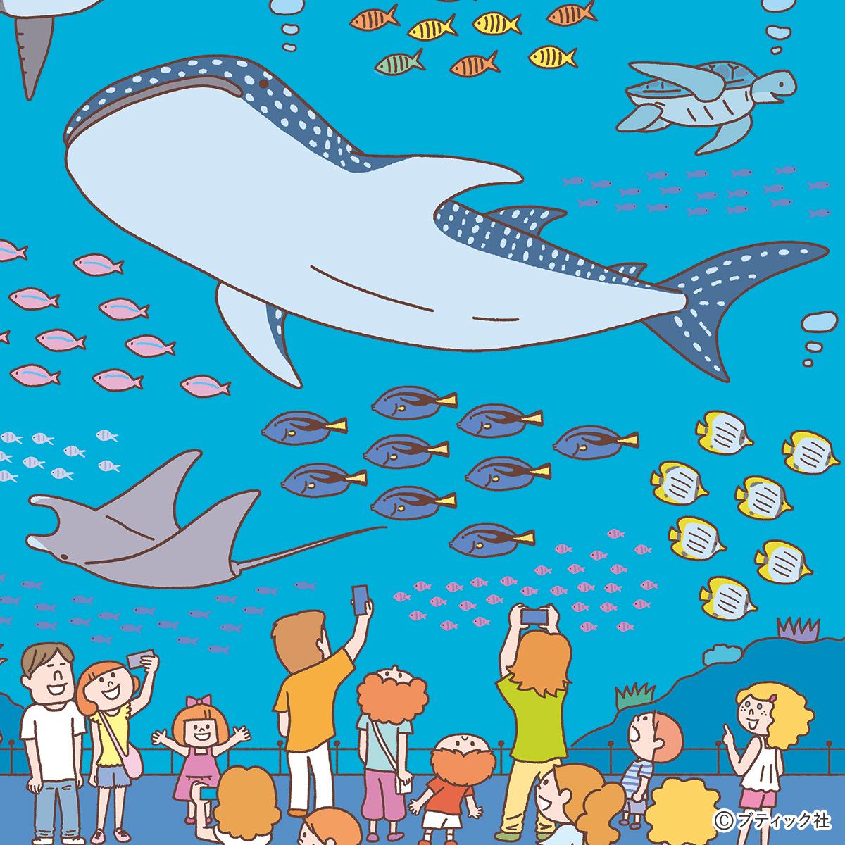 楽しく脳を活性化！「まちがいさがし 美ら海水族館編」｜ぬくもり
