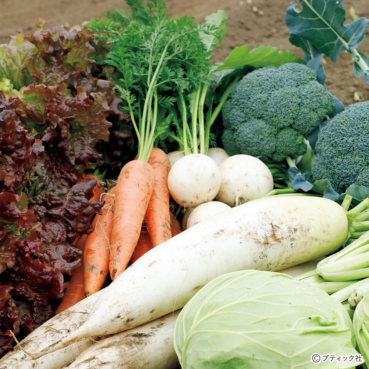 猛暑に対応！ 「秋冬野菜タネまき超成功術」｜ぬくもり