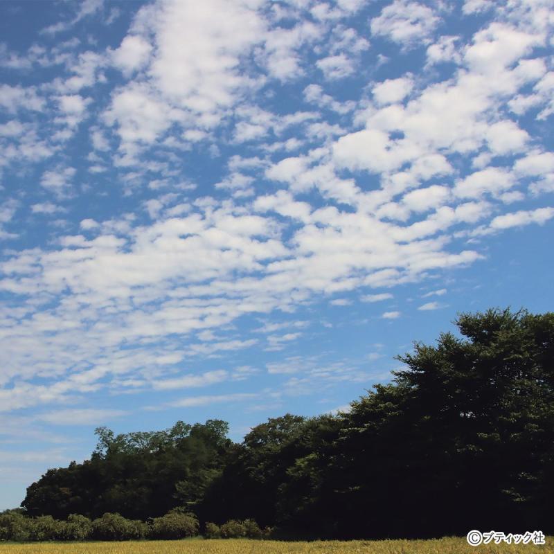 分かりやすい！雲の分類図鑑｜雲の図鑑より（ホビー/趣味）