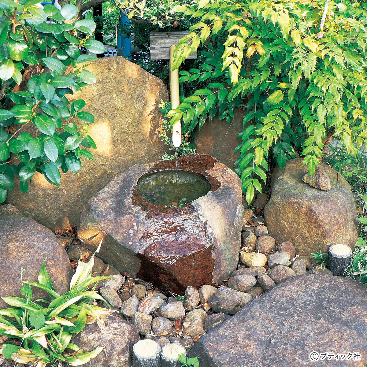 自然石 苔付き 大きな石と小さな石の組み合わせ 自然石 苔付き 大きな石と小さな石の組み合わせ 植物の魅力を引き出す「