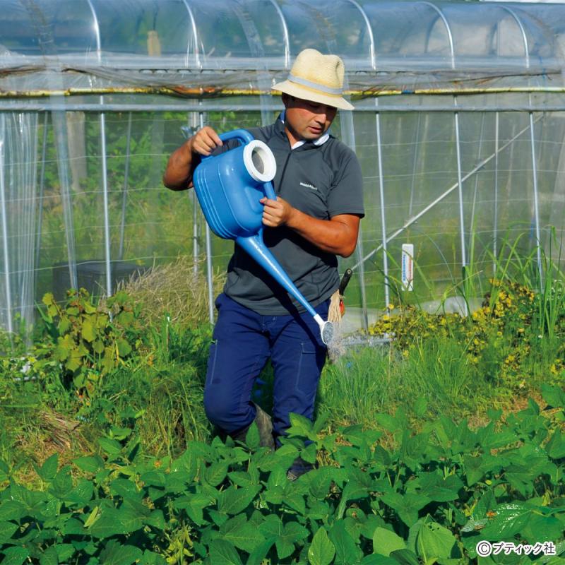 野菜別「葉面散布のコツ」を公開！