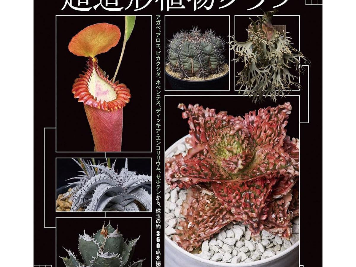 珍奇植物図鑑 超造形植物グラフ」（本の紹介）｜ぬくもり