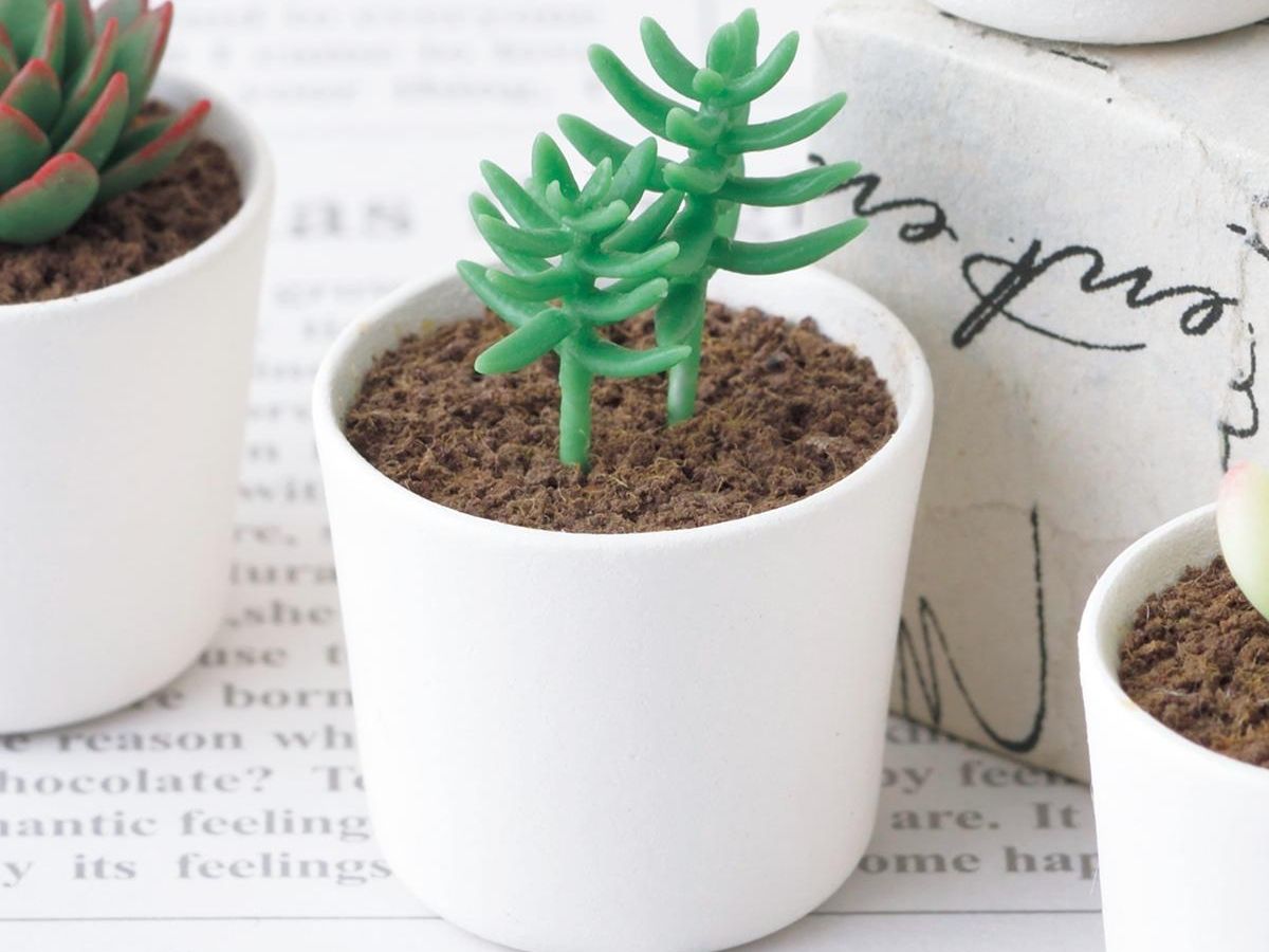 樹脂粘土で作ろう「多肉植物テトラゴナ」の作り方｜ぬくもり